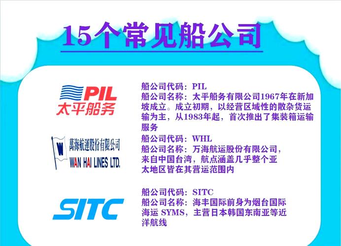 船舶公司进不了？原因何在？-图2