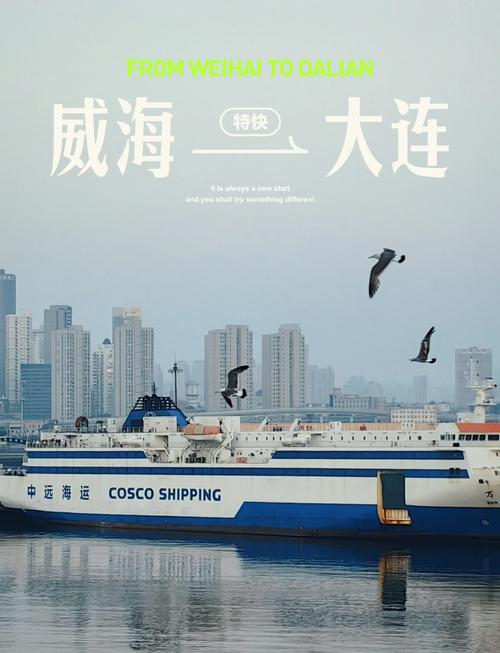 大连船舶网和平是做什么的？-图2