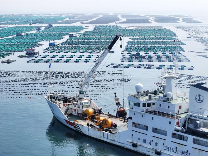 港口内船舶如何高效管理?-图2 港口内船舶如何高效管理?-图2