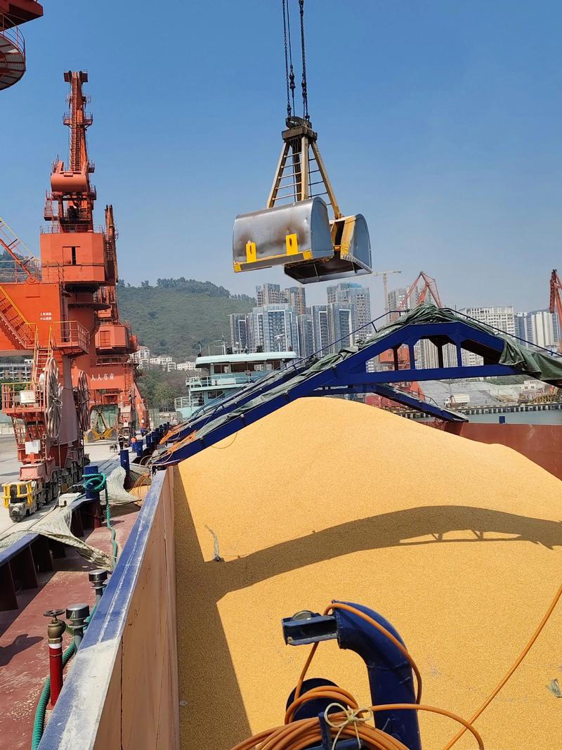 船舶卸谷物的具体流程是怎样的？-图1