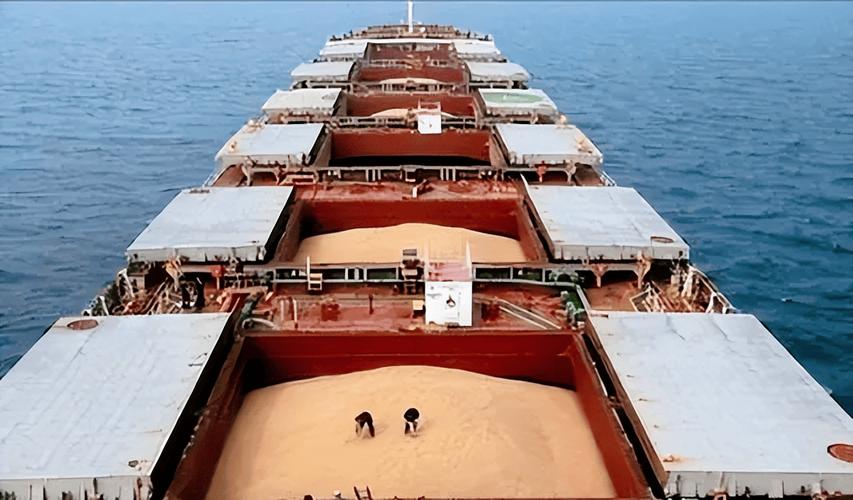 船舶卸谷物的具体流程是怎样的？-图2