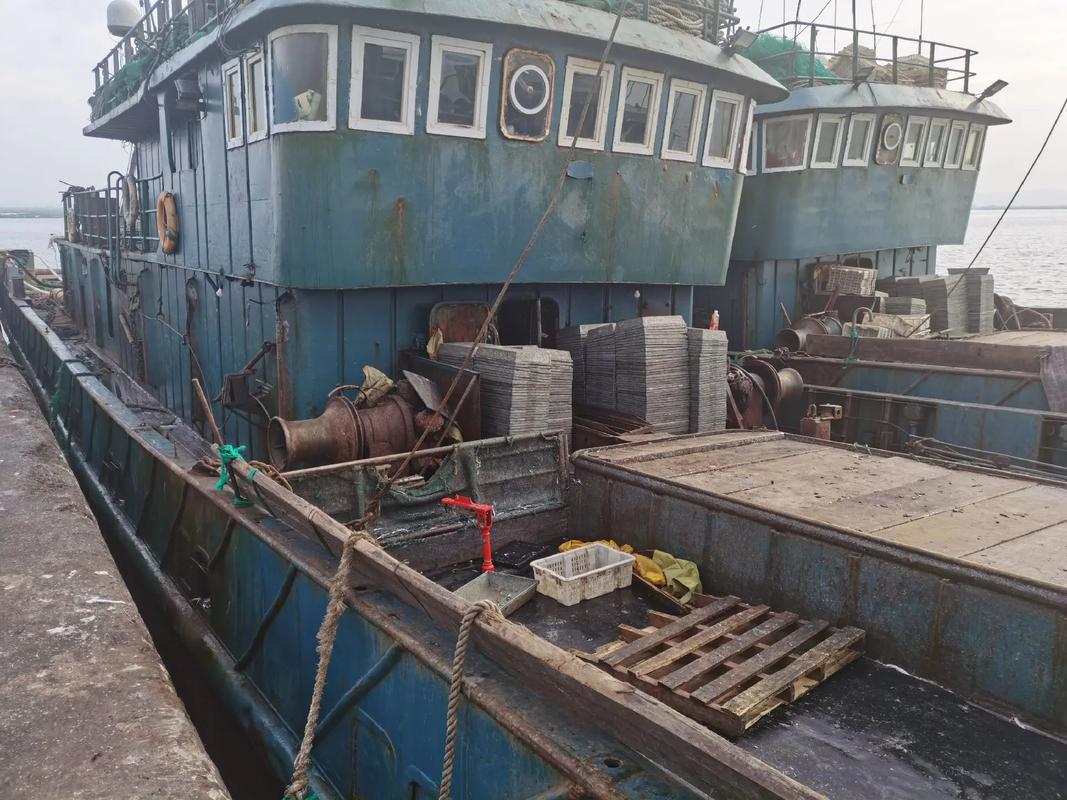 老船长船舶拍卖，如何参与？-图1