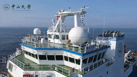 船舶航次动态表具体包含哪些关键信息?-图1 船舶航次动态表具体包含哪些关键信息?-图1