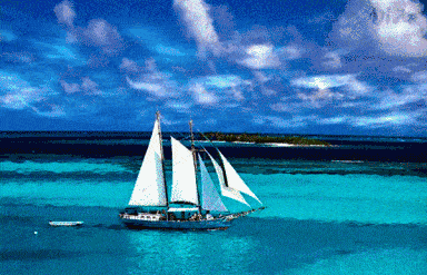 船舶航次动态表具体包含哪些关键信息？-图2