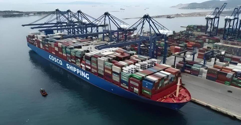 船舶市场交易群-图2