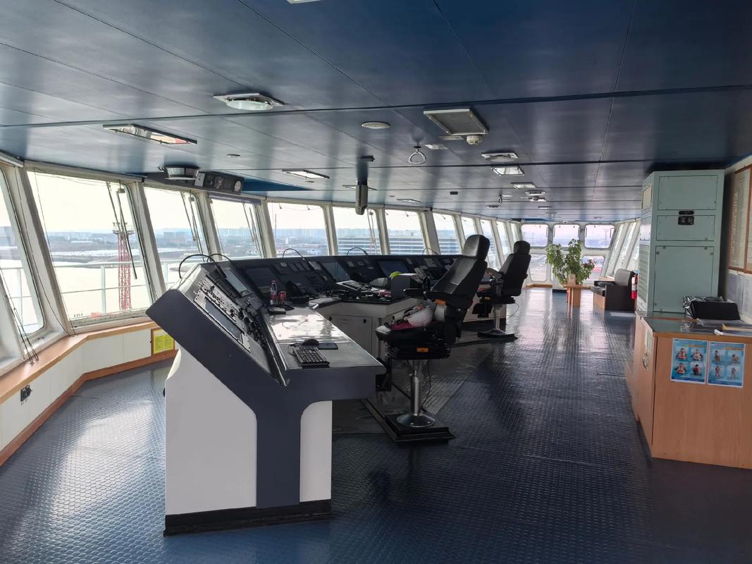 船舶自动舵为何突然失灵？-图1