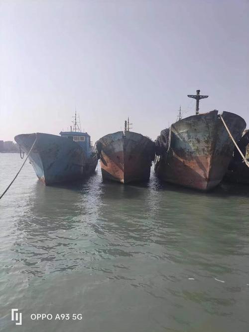 船舶报废查询表-图2