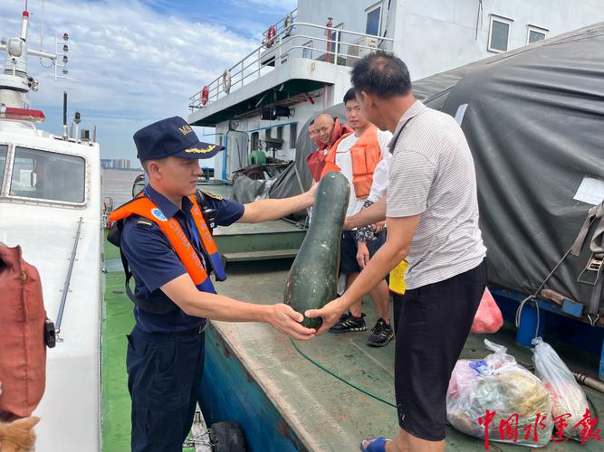 高温如何影响船舶驾驶安全？-图1