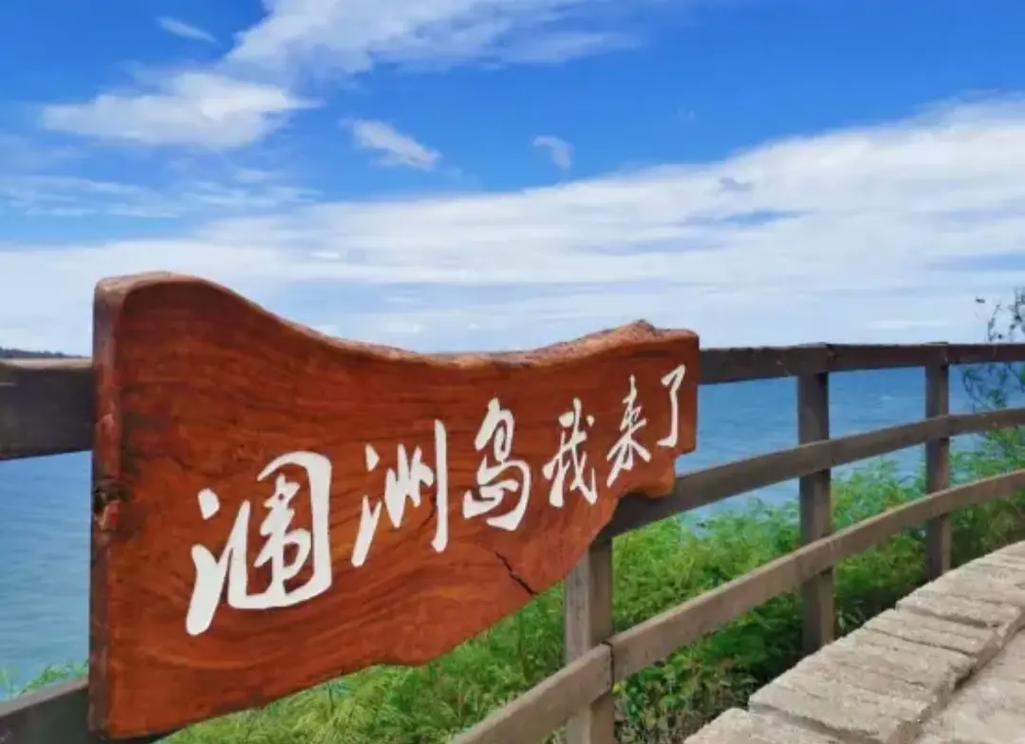 广岛大学船舶有何独特研究方向?-图3 广岛大学船舶有何独特研究方向?-图3