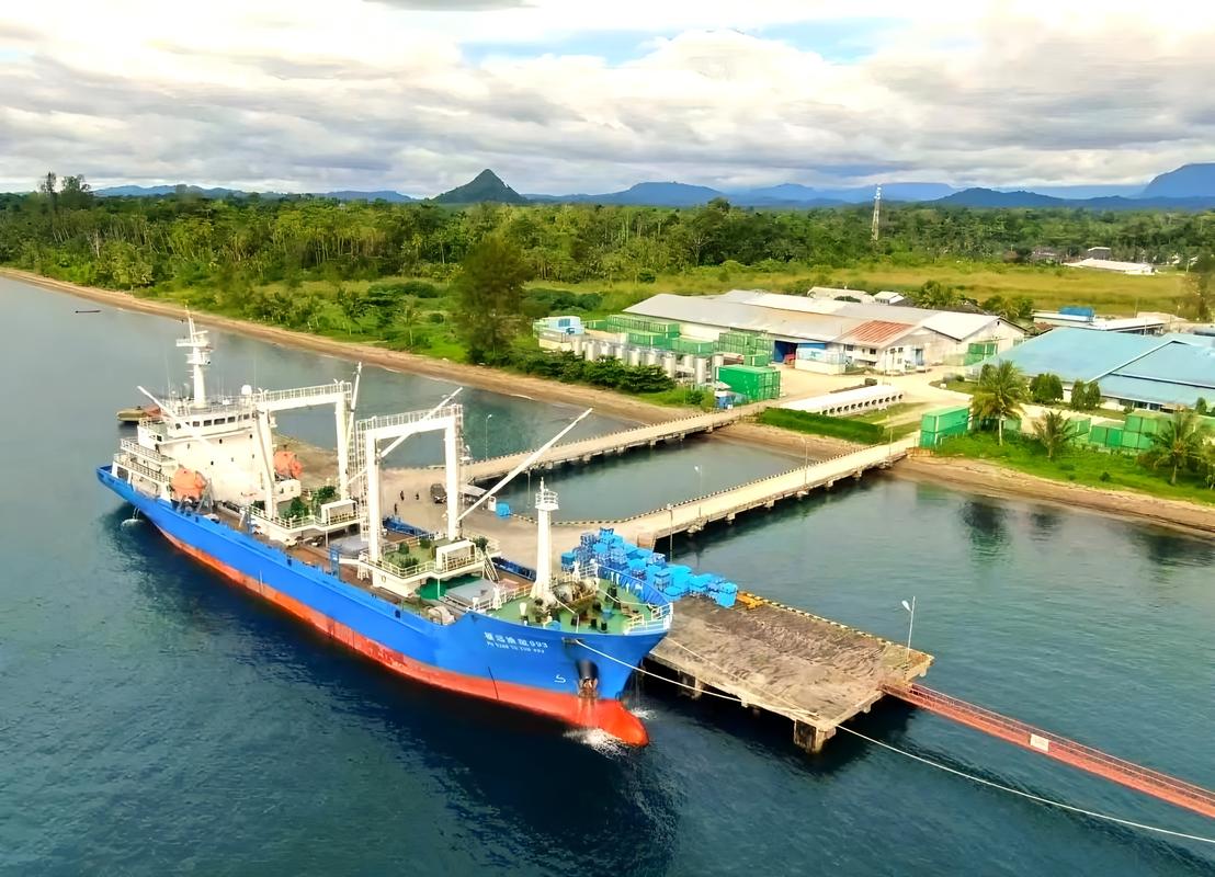 新加坡船舶买卖如何操作？-图3