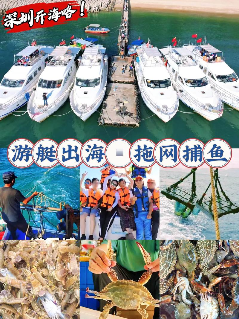 舟山船舶APP有何实用功能？-图3