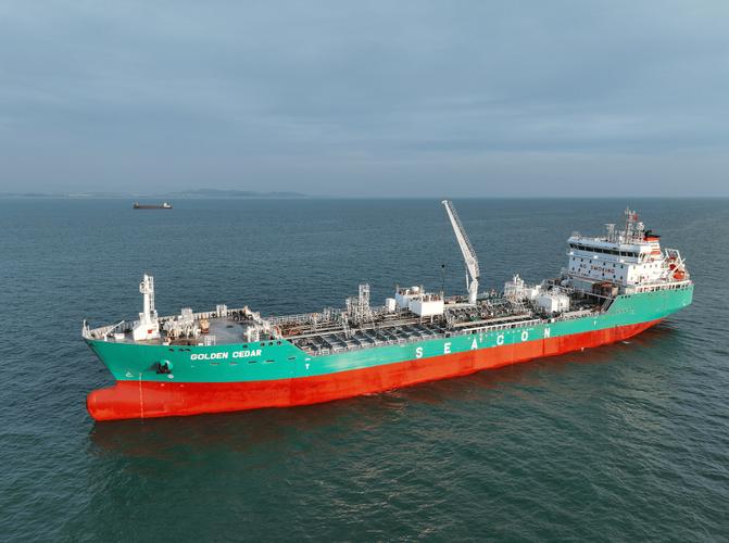 DWT是船舶的什么缩写？-图1