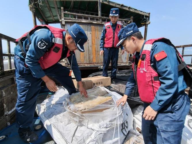 船舶查封单位,具体情形有哪些?-图2 船舶查封单位,具体情形有哪些?-图2