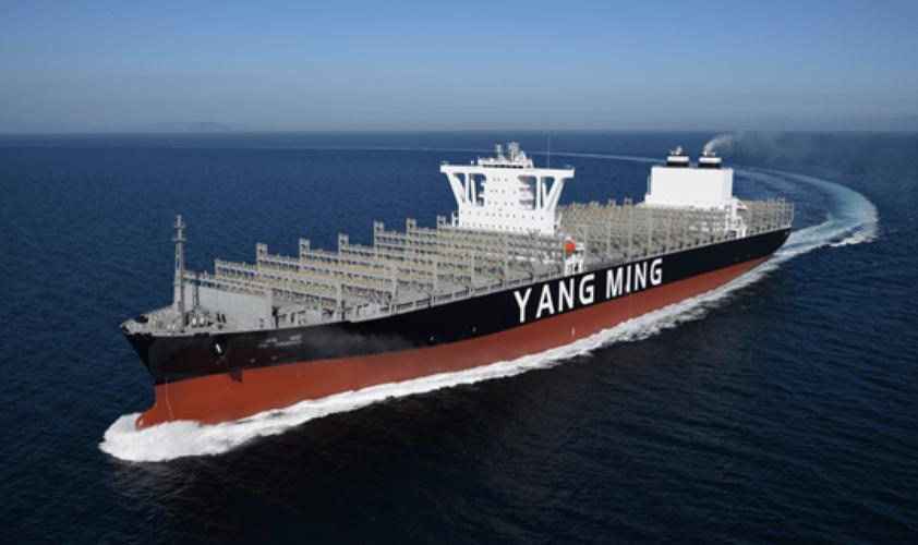 阳明船舶计划具体内容是什么？-图2