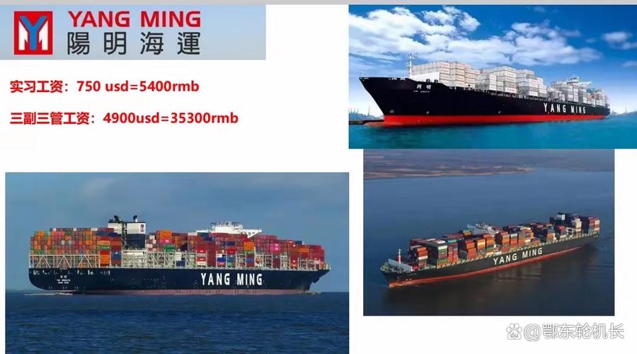 阳明船舶计划具体内容是什么？-图1