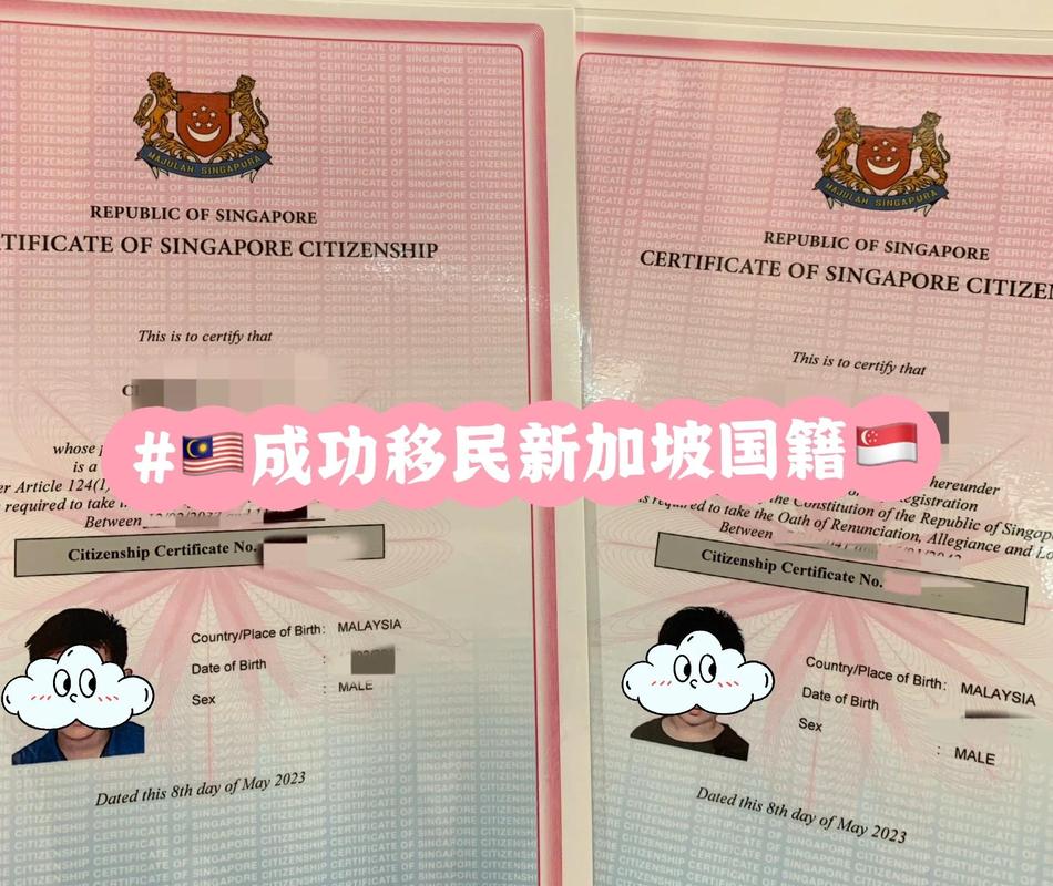 新加坡船舶登记有何优势与要求?-图2 新加坡船舶登记有何优势与要求?-图2