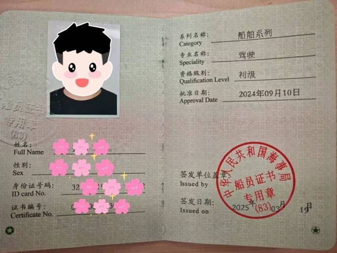 船舶技术工程师，核心能力与职业发展？-图1