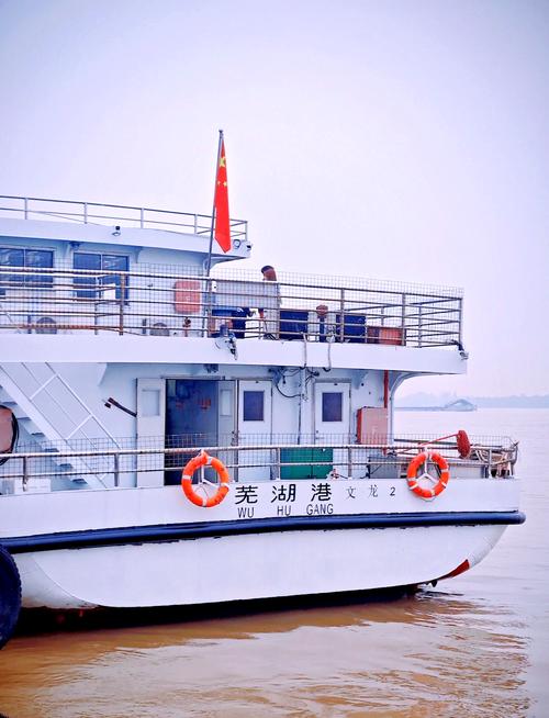 芜湖船舶拍卖网船舶怎么买？-图1