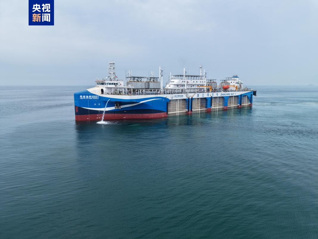 浙江船舶人才网有何独特优势？-图1