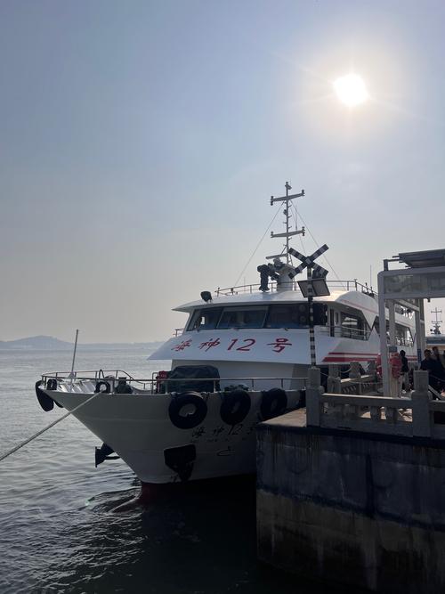 舜天船舶为何紧急停牌？-图1