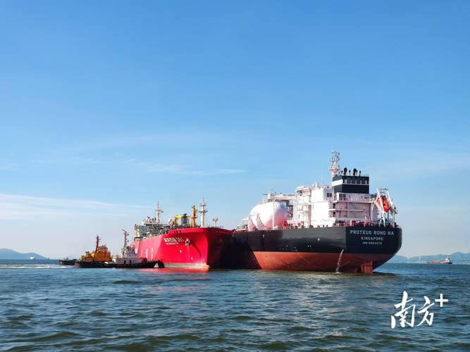 宝高船舶广州是做什么的？-图1