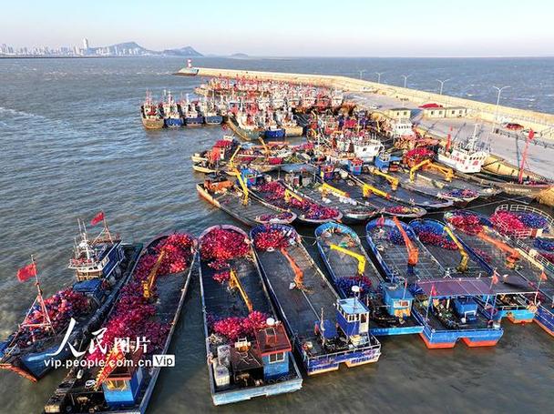 连云港五洲船舶怎么样？-图1