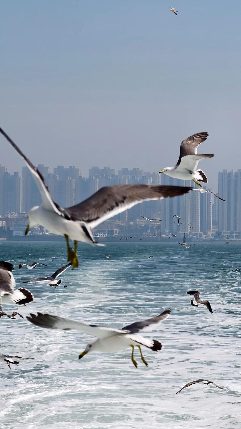 青岛船舶与海洋，发展现状如何？-图2