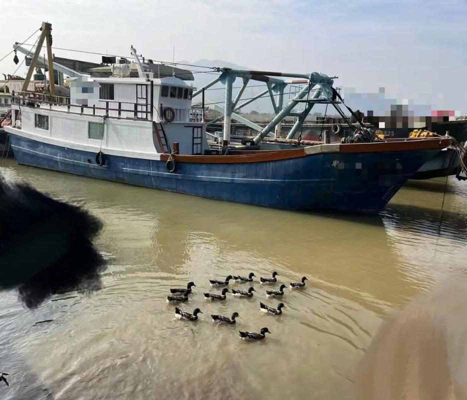 武汉船舶交易网是做什么的？-图1