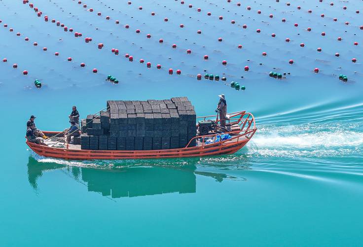 渔业船舶行业发展特征有哪些？-图1