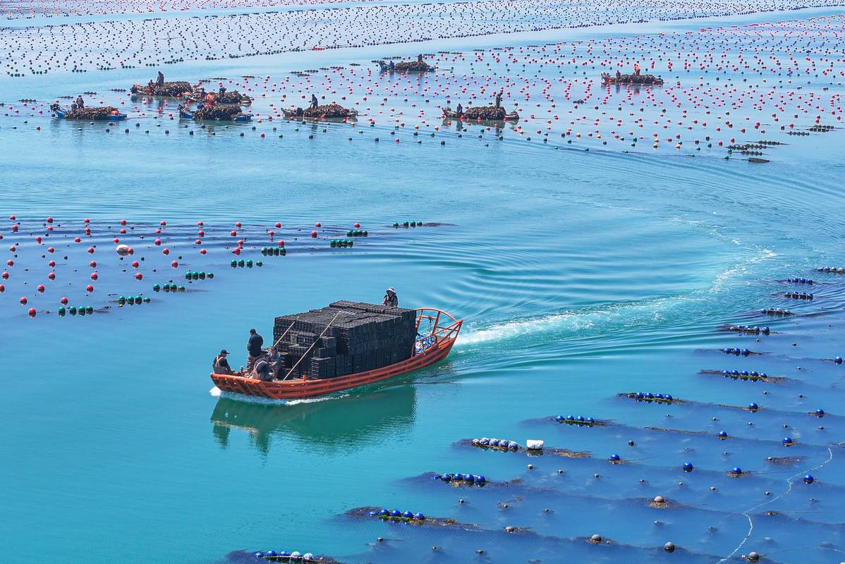 渔业船舶行业发展特征有哪些？-图3