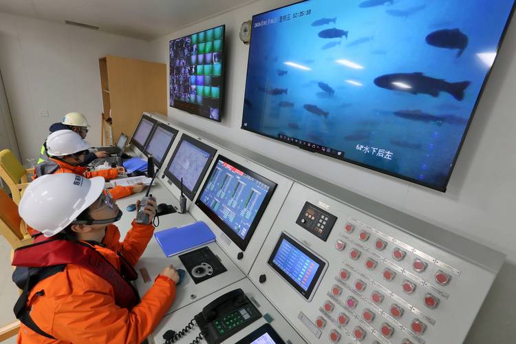 日照船舶智能装备如何赋能产业升级？-图1