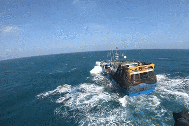 烟台国际海运船舶最新动态如何？-图1