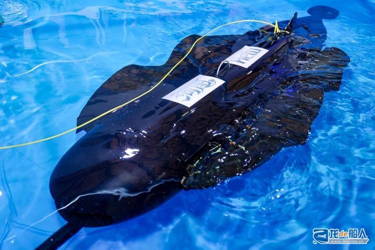 船舶动力定位软件哪里下载？-图2