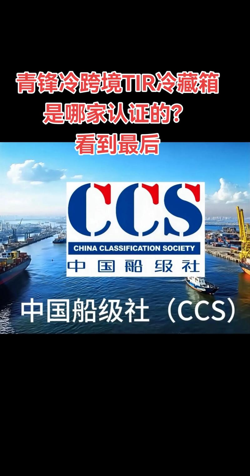 船舶所属船级社怎么查？-图1