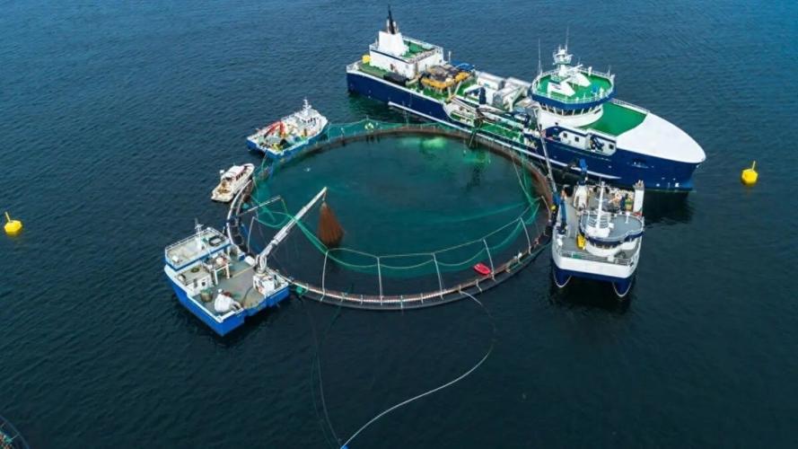 养殖渔船与渔业辅助船舶有何区别？-图1