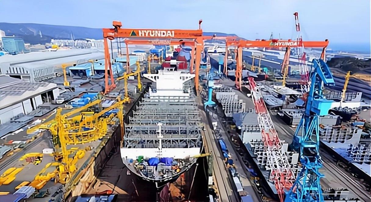 印度国产民营大型船舶，真能打破垄断吗？-图1