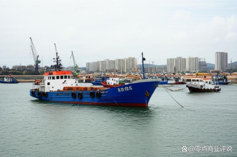 印度国产民营大型船舶，真能打破垄断吗？-图3