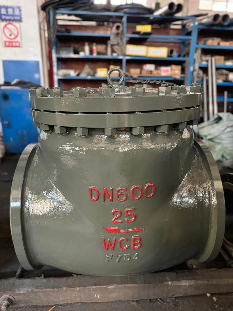 船舶排水孔自动止回阀如何实现自动止回？-图2