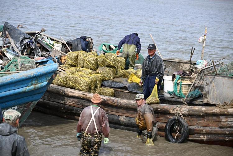 中国渔民为何捡回无主船舶？-图3